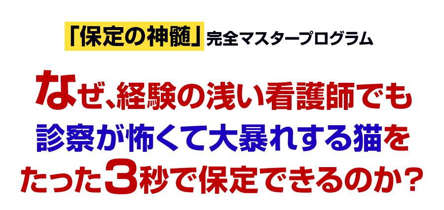 なぜ、経験の浅い看護師でも診察が怖くて大暴れする猫をたった3秒で保定できるのか？