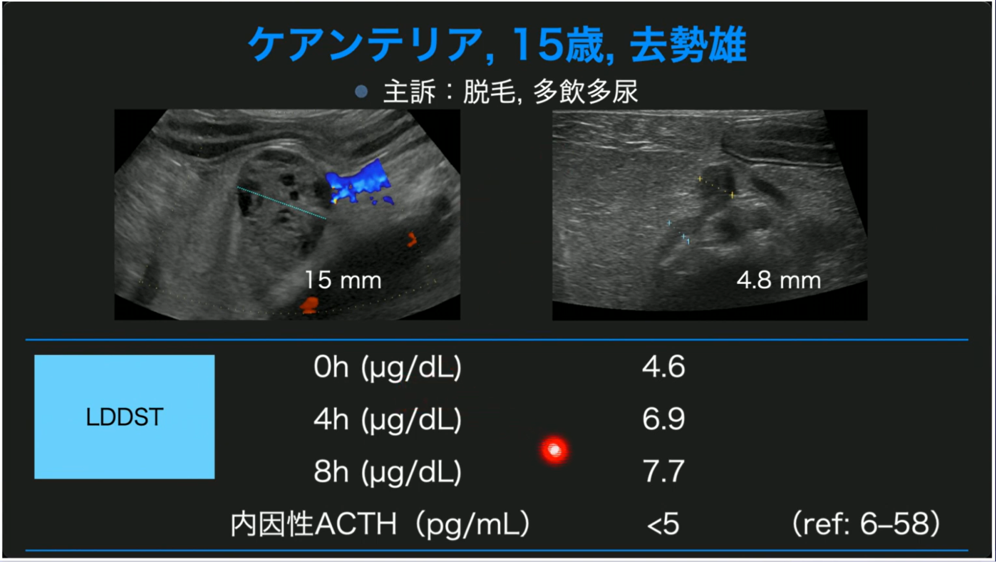 先生の診療の引きだしが、確実に増えます
