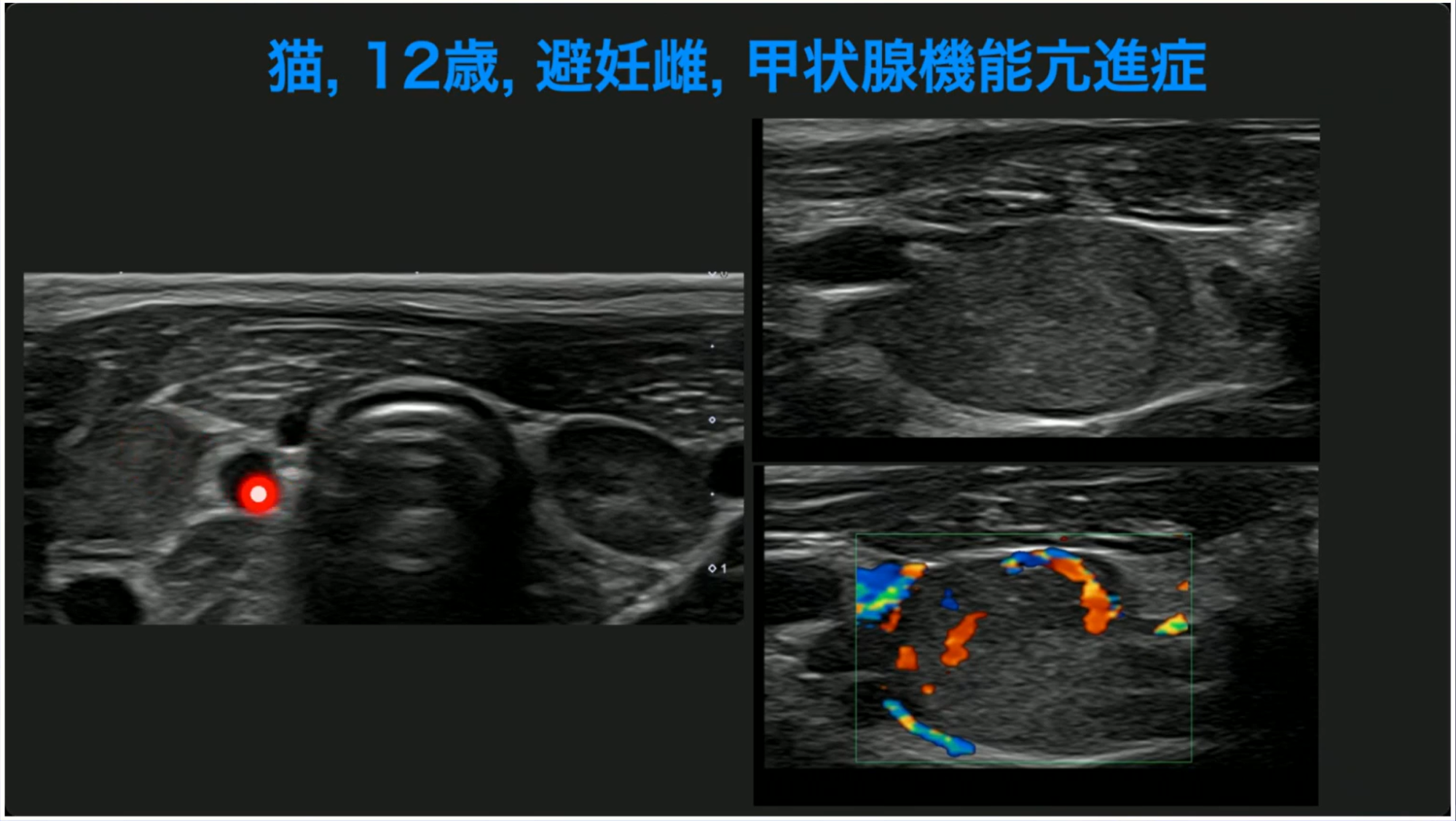 【間脳・下垂体疾患・副腎疾患 / 図説 内科診断治療講座 8】 下垂体疾患診療マニュアル 改訂第3版 | 診断と治療社