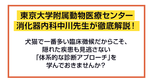 東京大学附属動物医療センター消化器内科の中川先生が徹底解説！