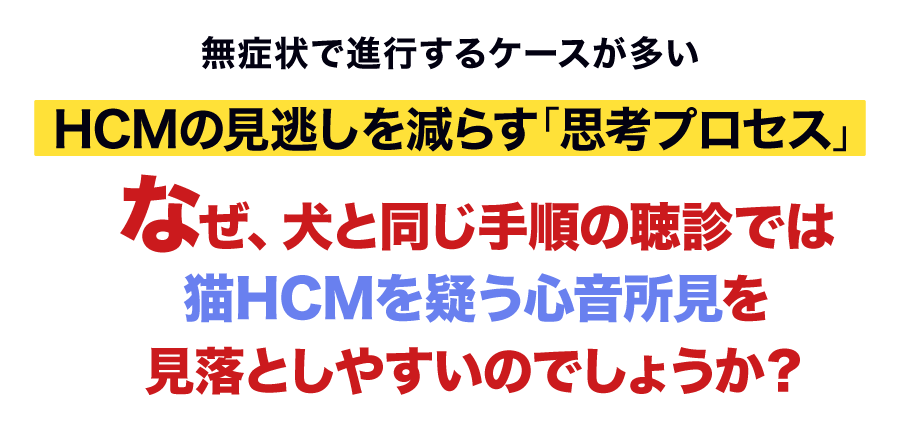 なぜ、犬と同じ手順の聴診では猫HCMを疑う心音所見を見落としやすいのでしょうか？