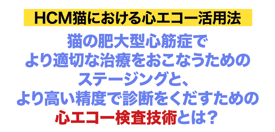 なぜ、犬と同じ手順の聴診では猫HCMを疑う心音所見を見落としやすいのでしょうか？