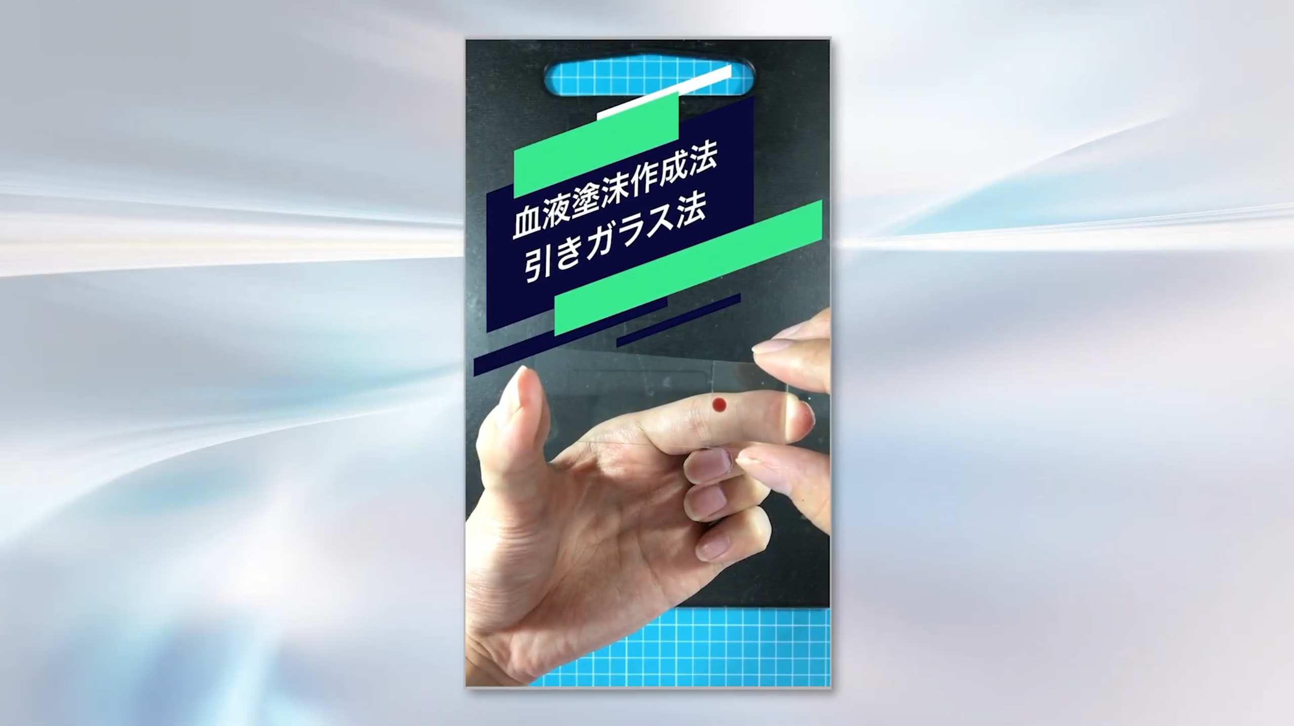 血液塗抹作成法引きガラス法