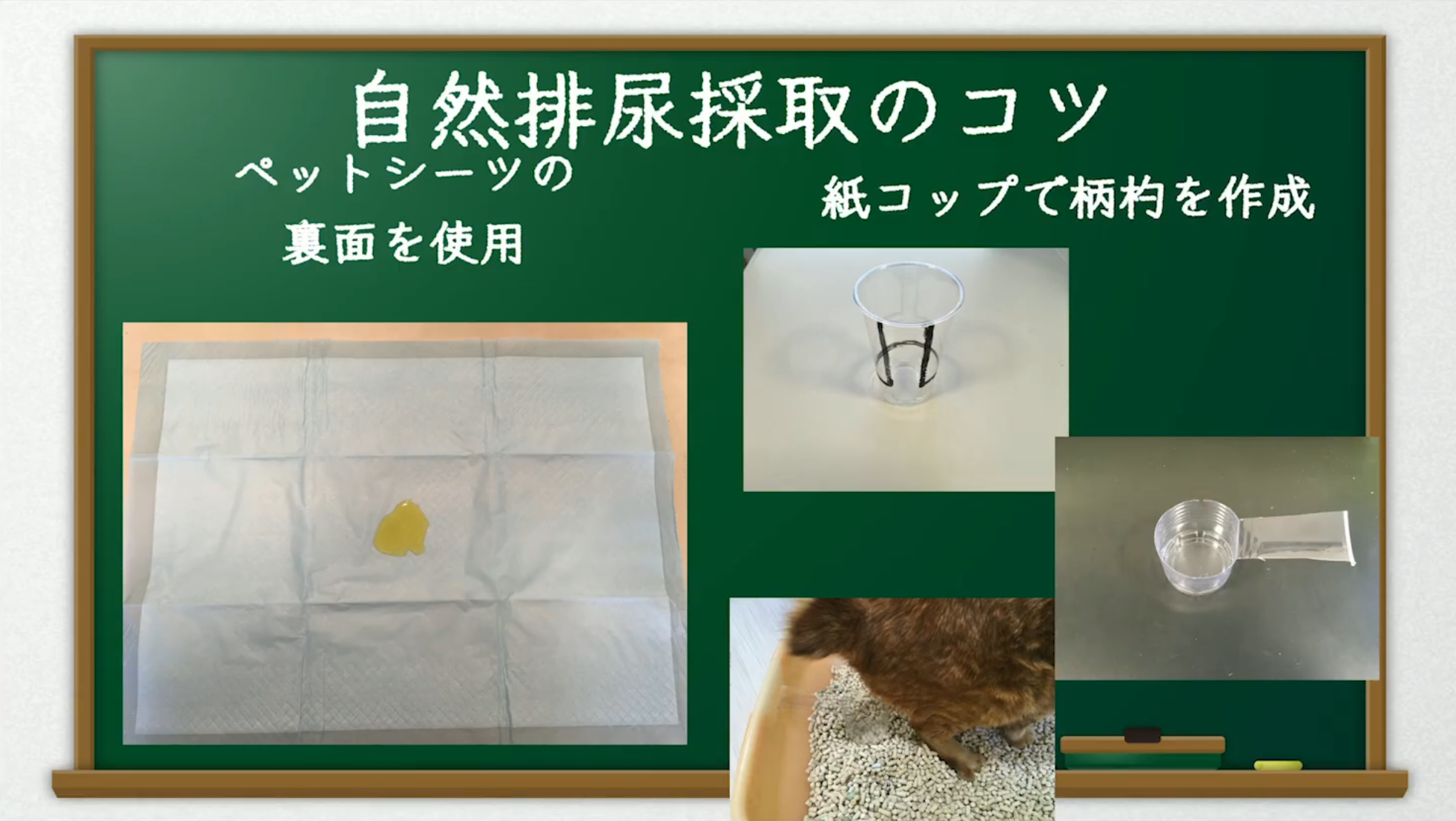 自然排尿採取のコツ