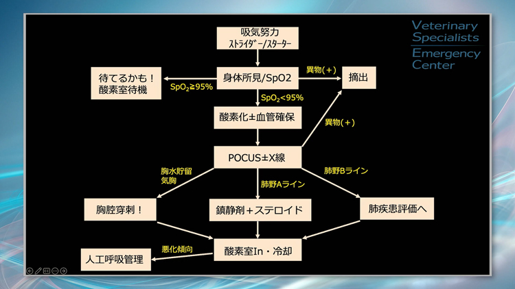 救急の基本であり、とても重要になるアプローチです