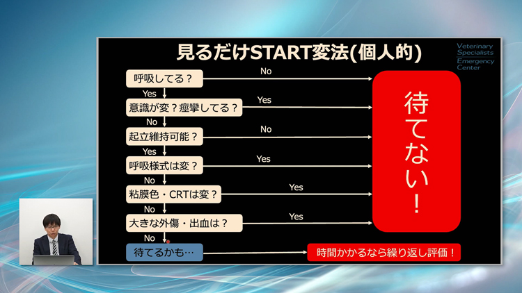 院内勉強会の教材としてご活用ください