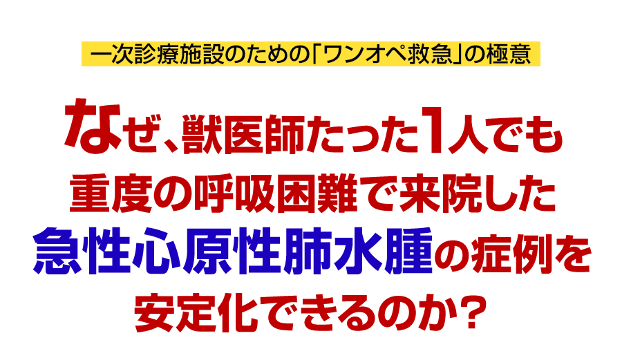 なぜ、獣医師たった1人でも重度の呼吸困難で来院した急性心原性肺水腫の症例を安定化できるのか？