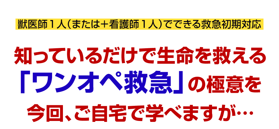知っているだけで生命を救える「ワンオペ救急」の極意を今回、ご自宅で学べますが…