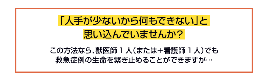 「人手が少ないから何もできない」と思い込んでいませんか？