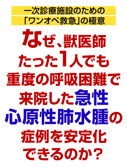 なぜ、獣医師たった1人でも重度の呼吸困難で来院した急性心原性肺水腫の症例を安定化できるのか？