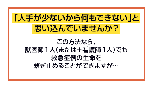「人手が少ないから何もできない」と思い込んでいませんか？