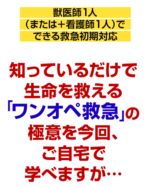 知っているだけで生命を救える「ワンオペ救急」の極意を今回、ご自宅で学べますが…