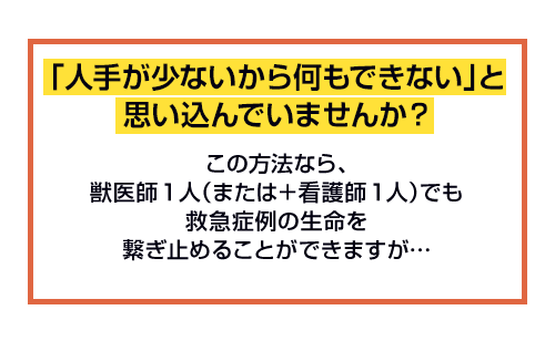 「人手が少ないから何もできない」と思い込んでいませんか？