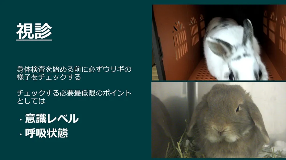 「身体検査に耐えられるのか」の視点が重要です