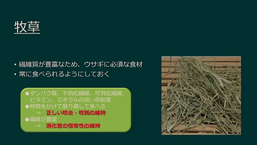 飼い主さんへの食事指導にも役立つ内容です