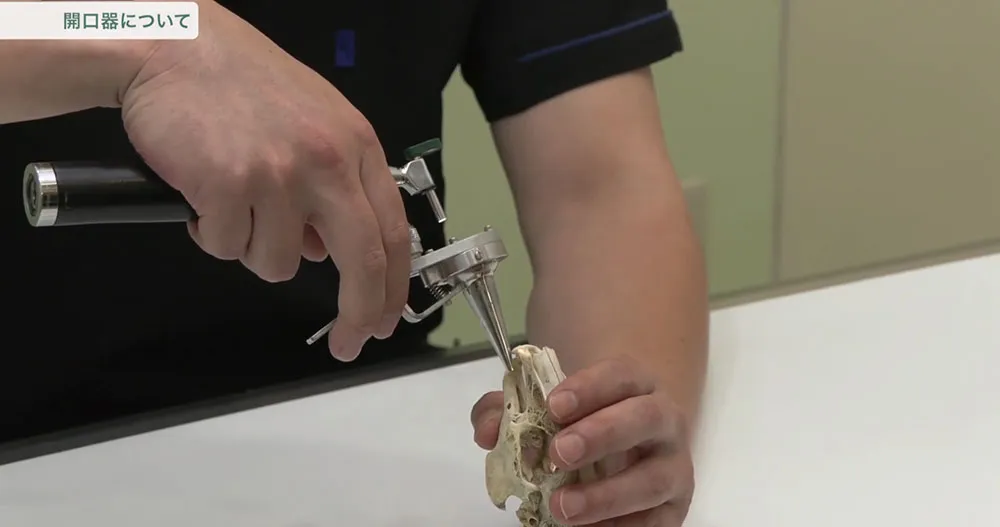 安全なウサギ診療に欠かせない技術を学べます