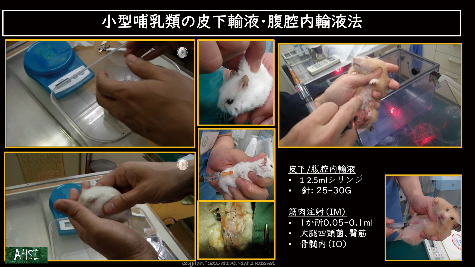 カラーアトラス級のビジュアルで、現場の再現性を高めます