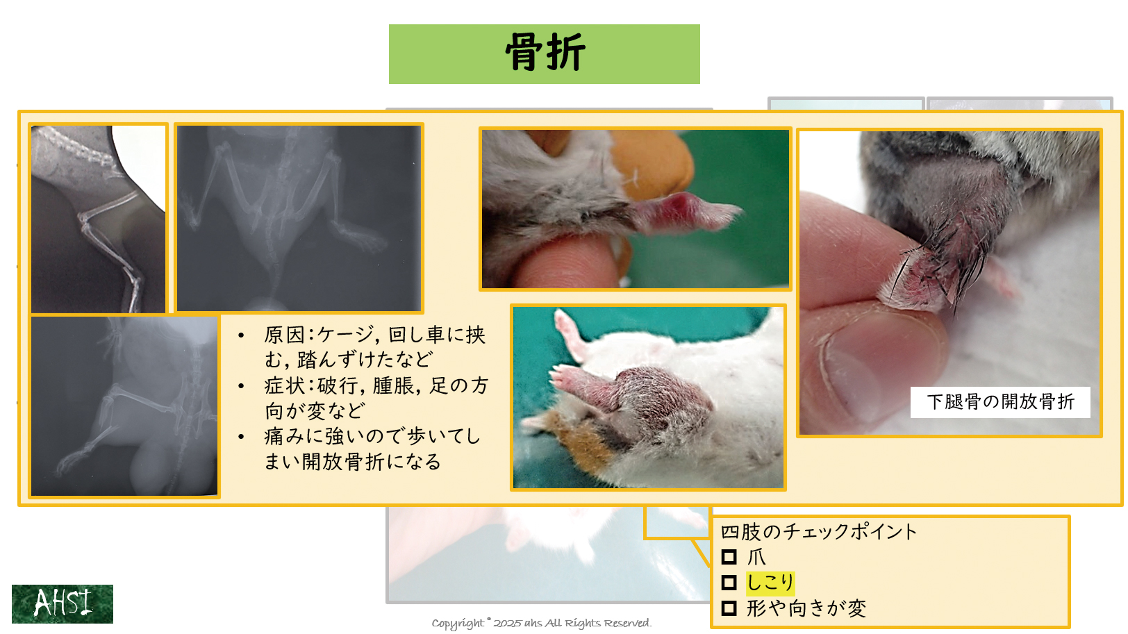 一次診療でよく遭遇する症状を網羅しました