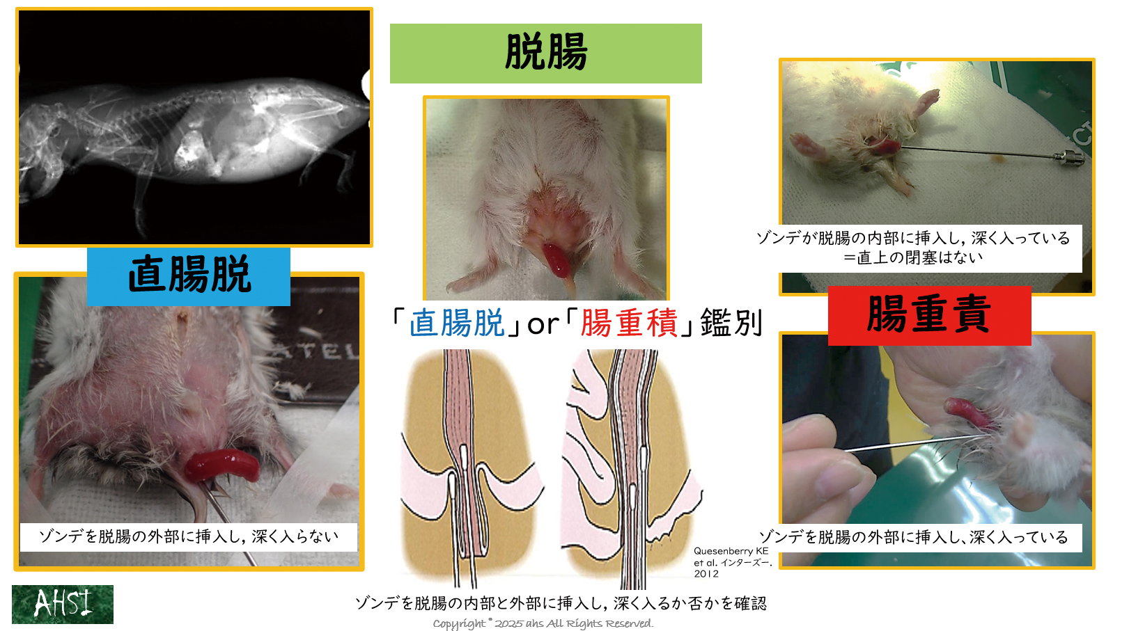 一次診療でよく遭遇する症状を網羅しました