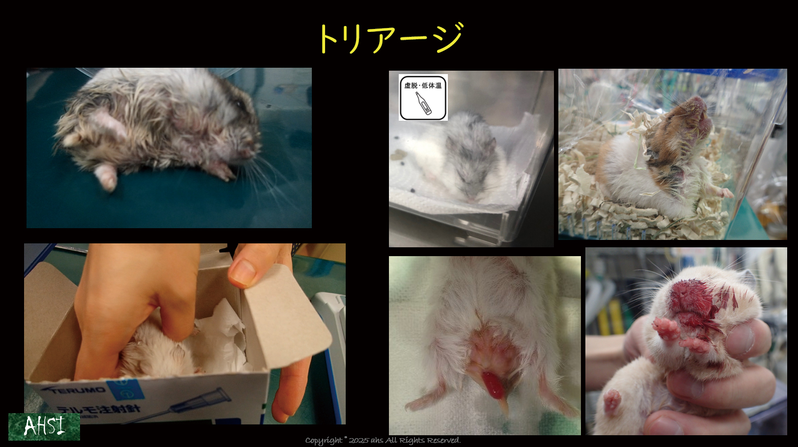 救急対応を知っているだけでも、救える命を増やせます