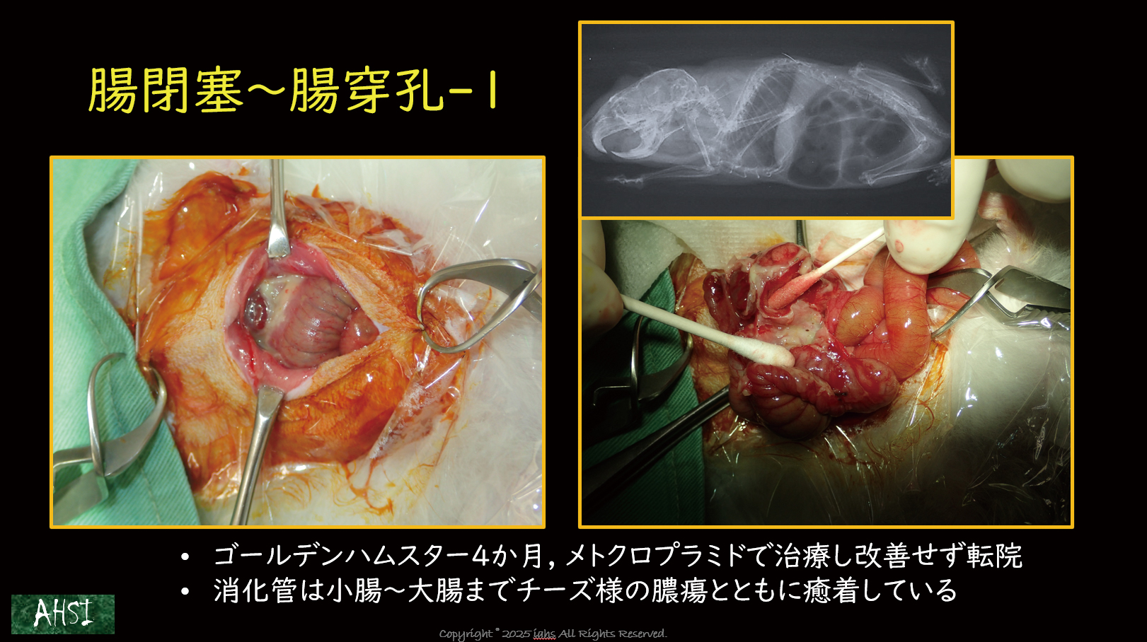 救急対応を知っているだけでも、救える命を増やせます