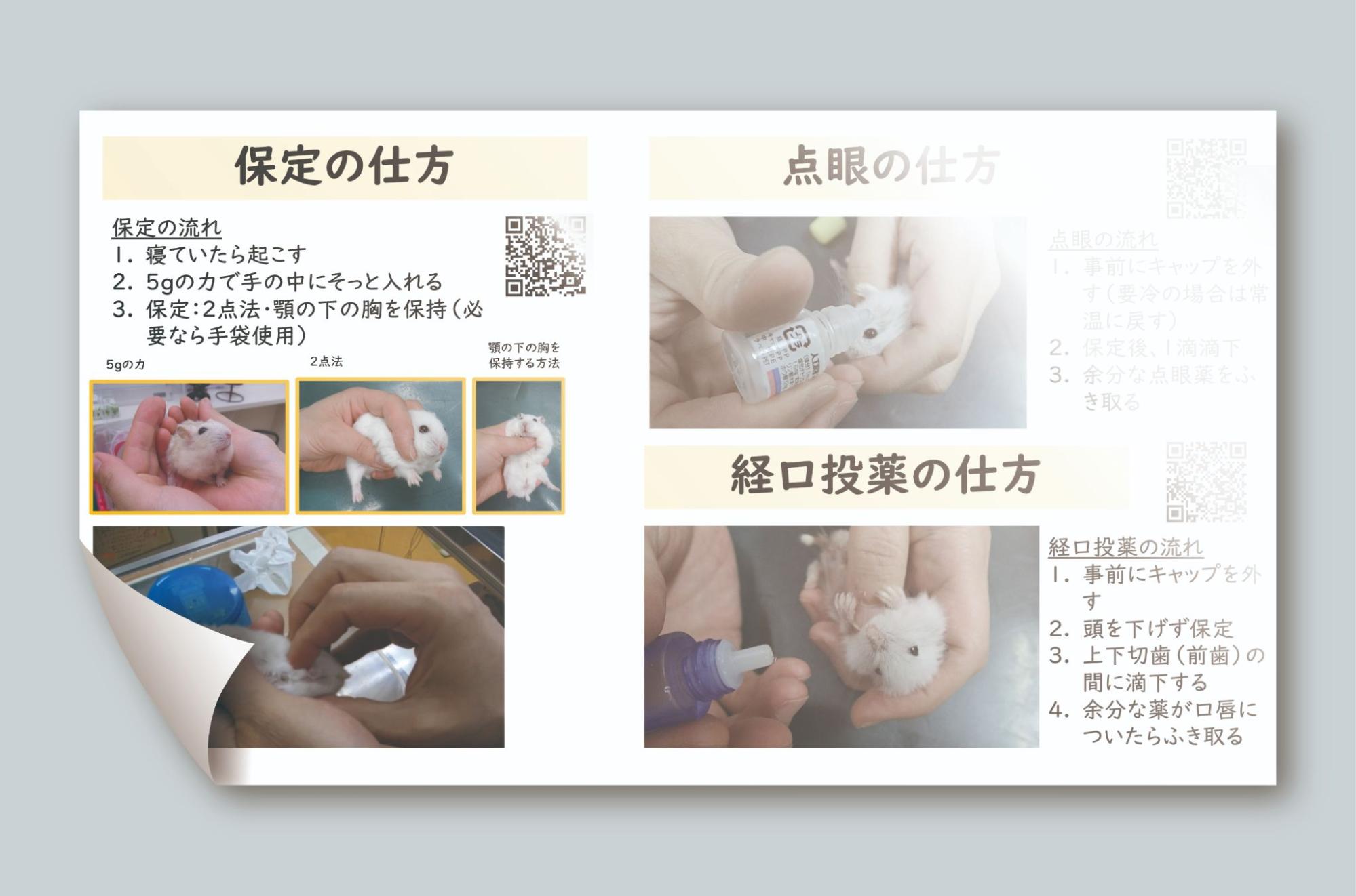 「飼い主さん啓発シート」で認識のズレも解消