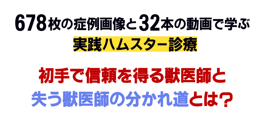初手で信頼を得る獣医師と失う獣医師の分かれ道とは？