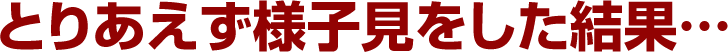 とりあえず様子見をした結果…