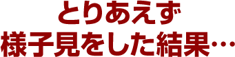 とりあえず様子見をした結果…