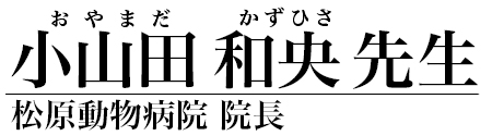 小山田 和央 先生