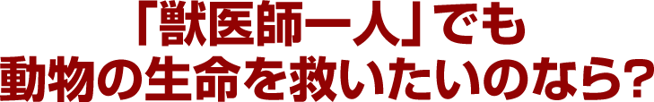 「獣医師一人」でも動物の生命を救いたいのなら？