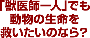 「獣医師一人」でも動物の生命を救いたいのなら？