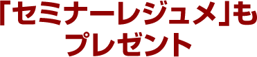 「セミナーレジュメ」もプレゼント