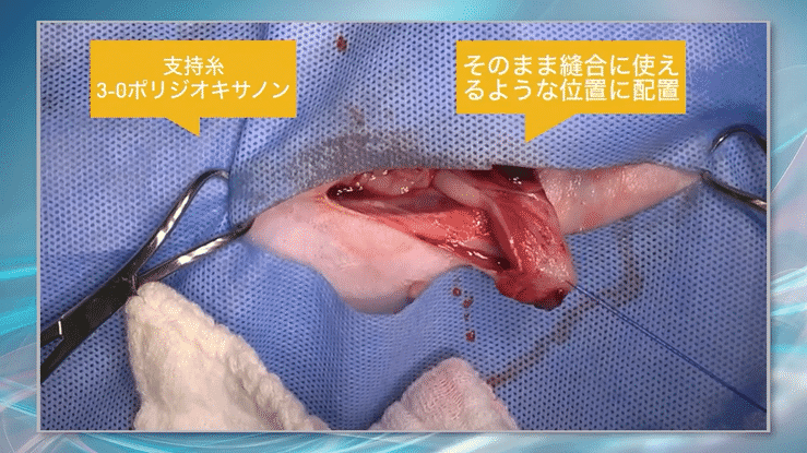 なぜ、この外科手技が使えると助手ゼロで「獣医師１人だけ」の状況でも生命を繋ぐ手術ができるのか？