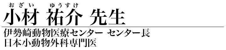 小材 祐介 先生