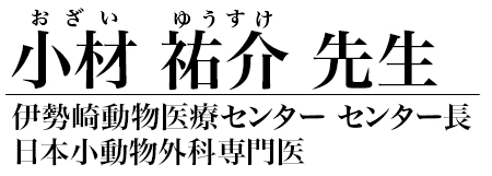 小材 祐介 先生