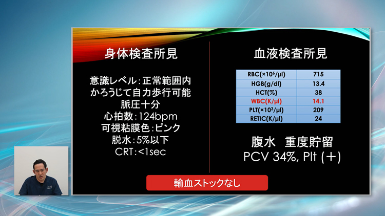 脾臓摘出（血腹）
