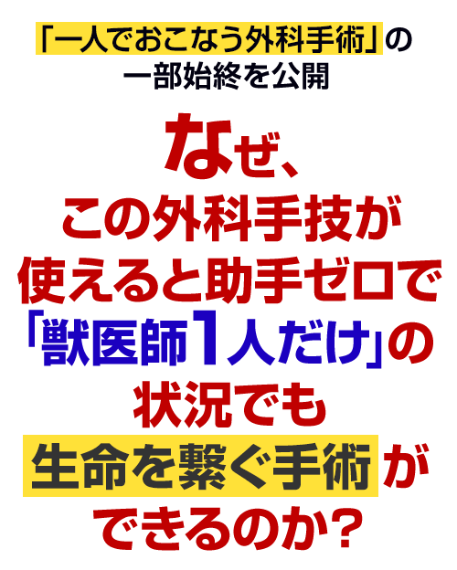 なぜ、この外科手技が使えると助手ゼロで「獣医師１人だけ」の状況でも生命を繋ぐ手術ができるのか？