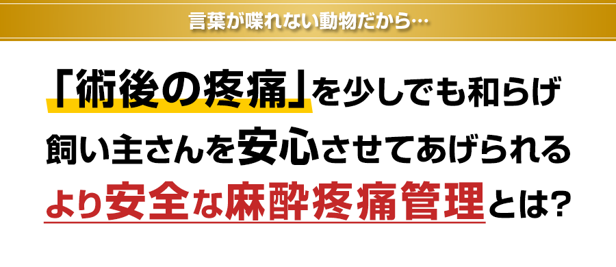 「術後の疼痛」を少しでも和らげ、飼い主さんを安心させてあげられる安全な麻酔疼痛管理とは？