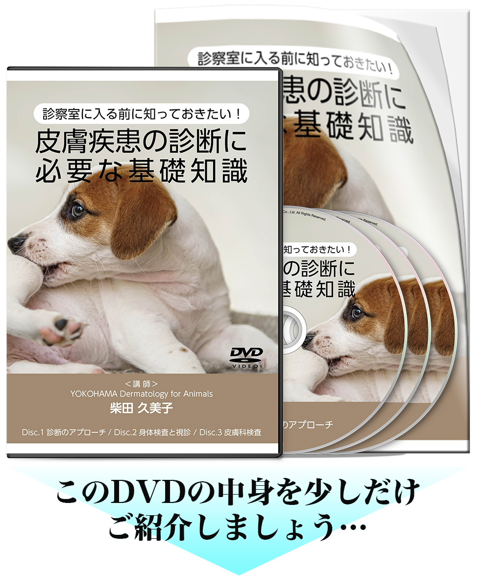 皮膚疾患の診断に必要な基礎知識