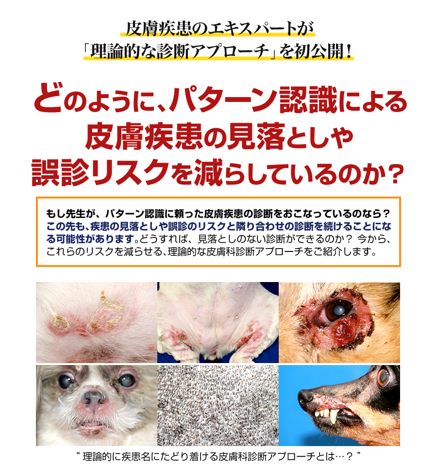 どのように、パターン認識による皮膚疾患の見落としや誤診リスクを減らしているのか？