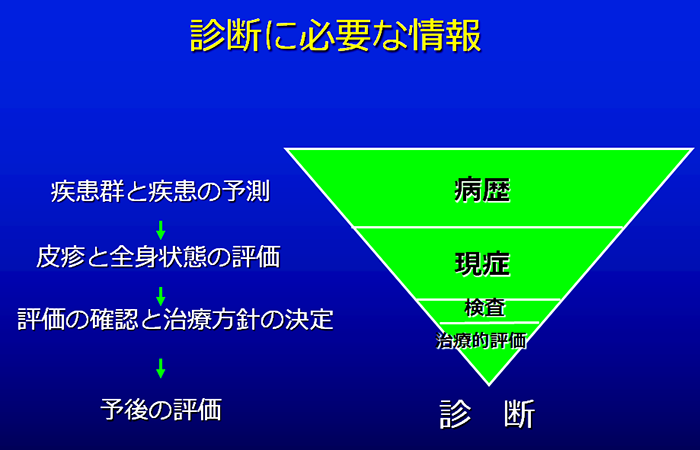 診断に必用な情報