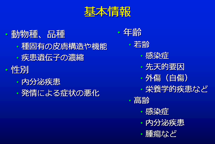 基本情報