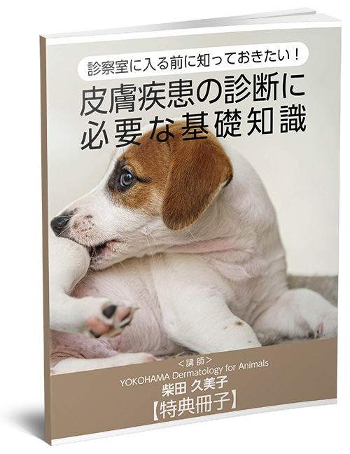 冊子