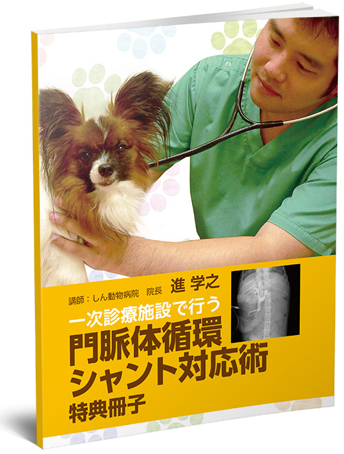 冊子