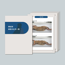 １. 「部位別・保定の仕方一覧」