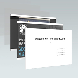 ２. 講義で使用したレジュメ