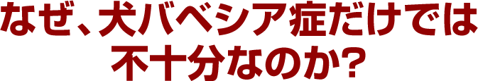 なぜ、犬バベシア症だけでは不十分なのか？