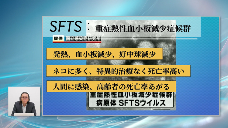 現時点でわかっている「SFTSの最新情報」をお伝えします