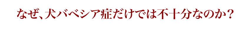 ※なぜ、犬バベシア症だけでは不十分なのか?